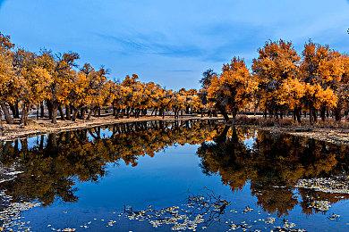 《大家一起来解谜》Steam页面上线 多人对应解谜新游